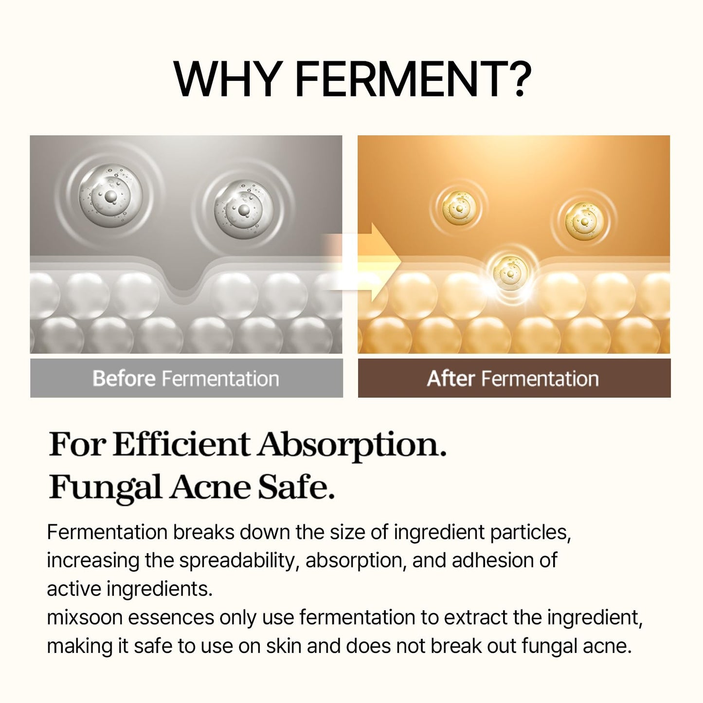 MIXSOON - Bean Essence 50ml